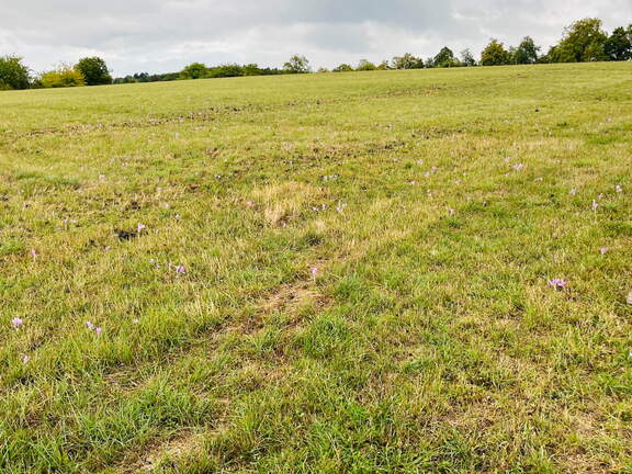 22-09-10 17-56-32 1973